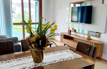 Serra Gaúcha Uva e Vinho 102 - Foto 27