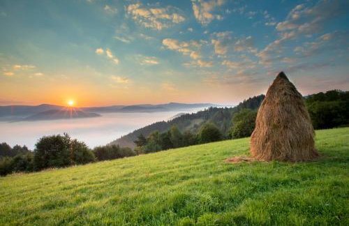 Zielona Granica - Foto 17