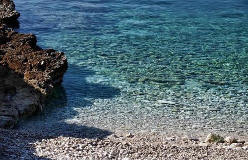 Villa VINE - new luxury holiday house in a green oasis - Foto 101