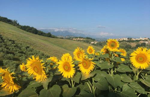 Casa Belfi - Foto 38