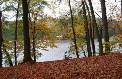 Ośrodek Wypoczynkowy Laguna - Foto 16