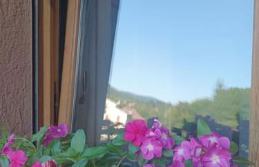 Ca' Fiorita - Foto 10