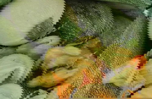 La Piana degli Ulivi - Foto 33