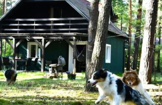 Daleko od Szosy - Foto 25