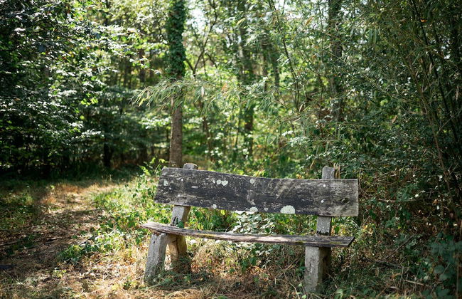 Château L'escale - Photo 70