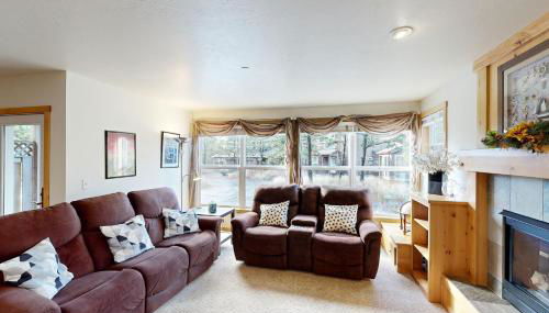 Pacific Shorepine - Foto 3