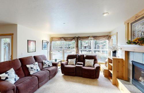 Pacific Shorepine - Foto 3