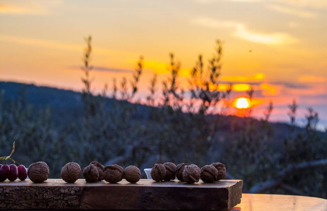 Villa Roza - Foto 36