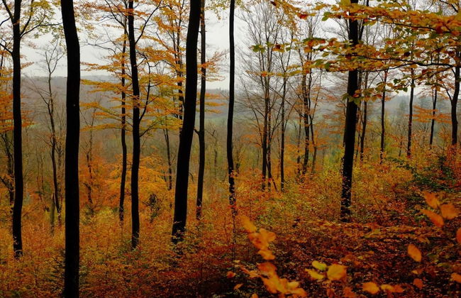 Seeblick-flucht in Langscheid - Foto 36