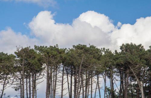 Bungalow B2 - Nature, Beach & River - Foto 77