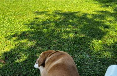 Casa Francesca - Foto 3