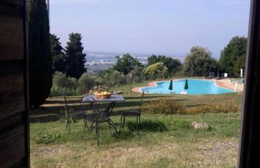 Frantoio di Corsanico - Foto 18