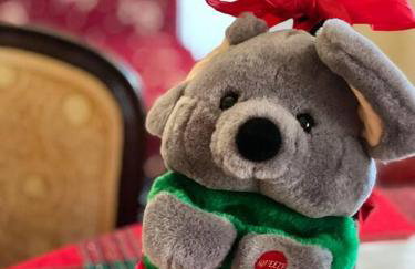 Ανάμεσα στα Έλατα - Foto 20