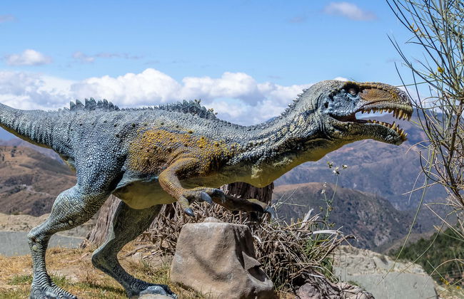 Tour privado por Cal Orcko - Foto 3