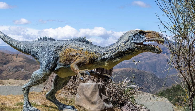 Tour privado por Cal Orcko