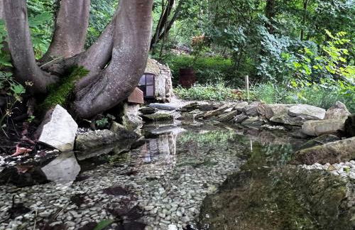 Forest Guest House - Foto 36