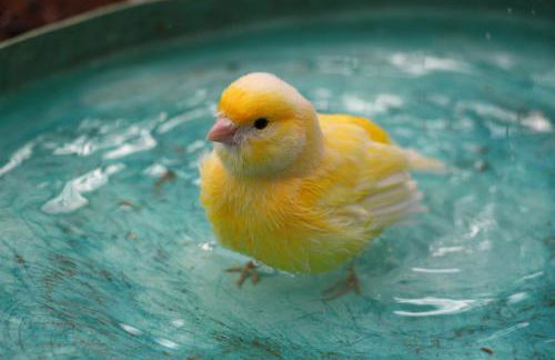 Casa Vista Pájaro - Photo 43