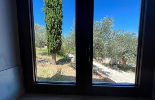 Halanus Agriexperience - Foto 58