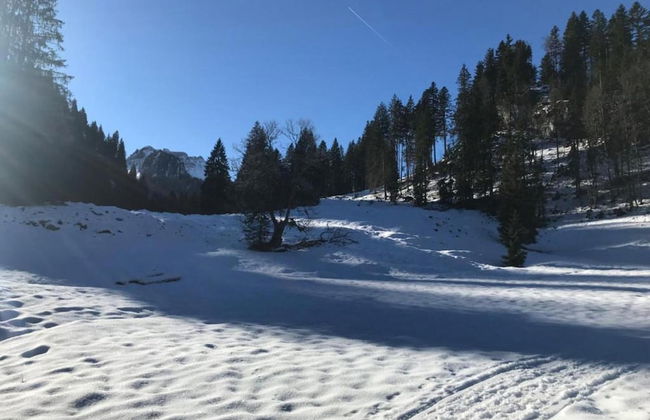 Dog-friendly Chalet in Bregenzerwald - Photo 34