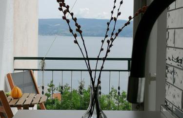 STAR of the SEA 2 - Photo 2