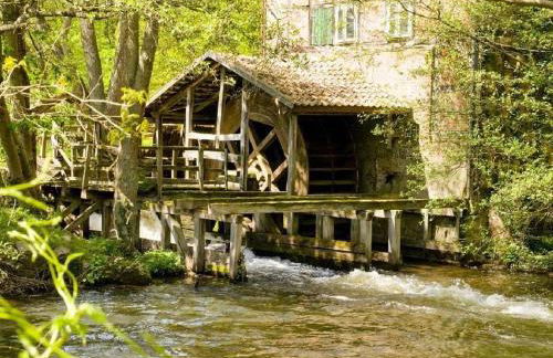 Muehlenhof-Soderstorf-Wohnung-B - Foto 5