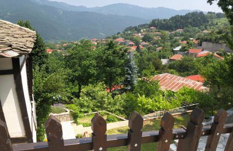 ΤΟ ΑΡΧΟΝΤΙΚΟ - Photo 13