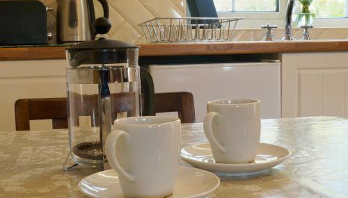 Brown Snout - Foto 5