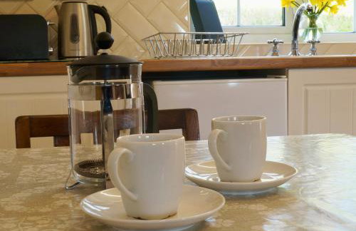 Brown Snout - Foto 5