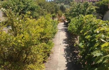 Monolocale zona Mare Pisturri - Foto 14