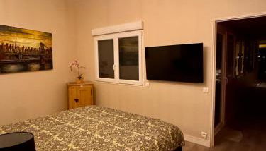 Loft Spa Reims-fr 250m2 privatifs, piscine intérieure chauffée, spa et parking - Foto 2