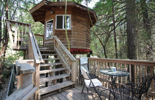 Out 'N' About Treehouse Treesort - Foto 18