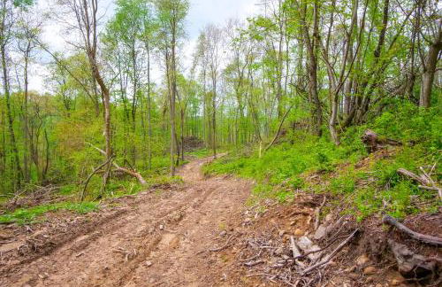 Cabin with Trail Access to Mohican River - Foto 20