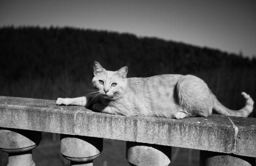 Casa Rural Andutza - Foto 19