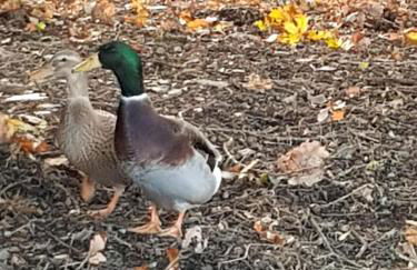 L'Eternet - Photo 13