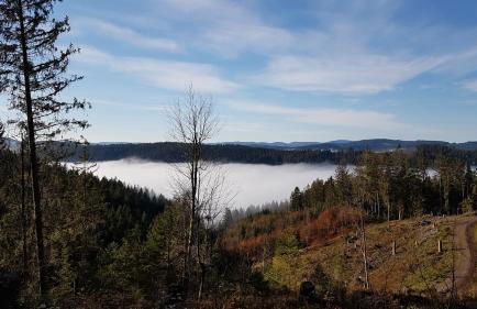 Ferienwohnung am Schneeberg - Foto 27