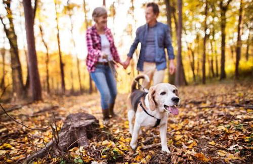 Norwood Cottage - Foto 33