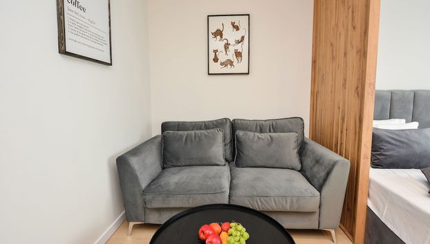 Novo Studio - Cismigiu Gardens - Quiet Room - Smart Tv - Foto 3, Zona de estar