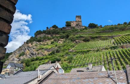 Rheinsteig-Ferienwohnungen 5 Apartments - Foto 29