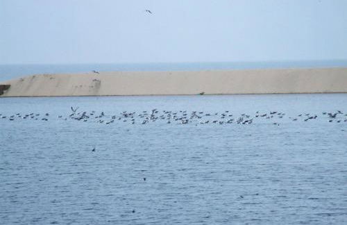 Casa Lagoa Verde - Foto 53