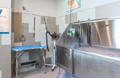 Designer Apt w Jacuzzi Walk To Casino & iMax - Foto 45