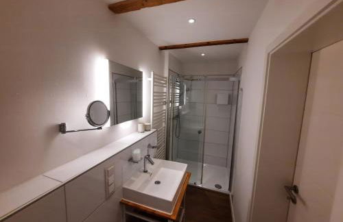 Lachmöwe by DeJu -4 Sterne DTV-Klassifizierung- - Foto 20