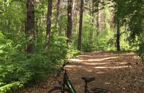 Ferienhaus am Briesensee - Foto 16