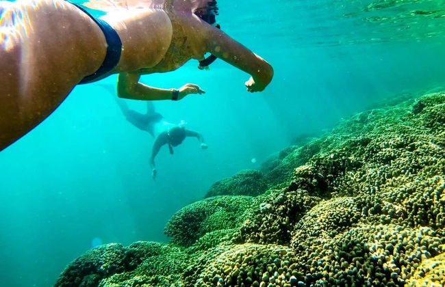 Aluguel de caiaque em Kaneohe - Foto 6