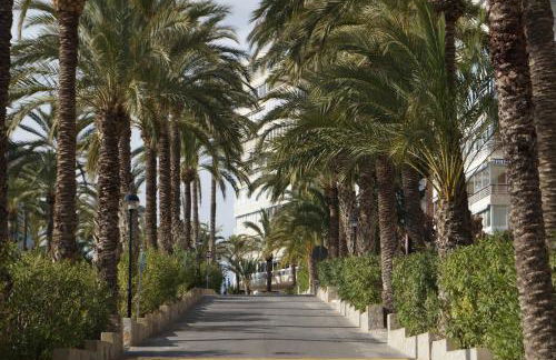 barbara 20 playa muchavista alicante - Foto 25