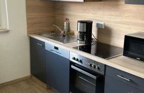 NEU! Ferienwohnung Elsteraue OG links - Foto 1