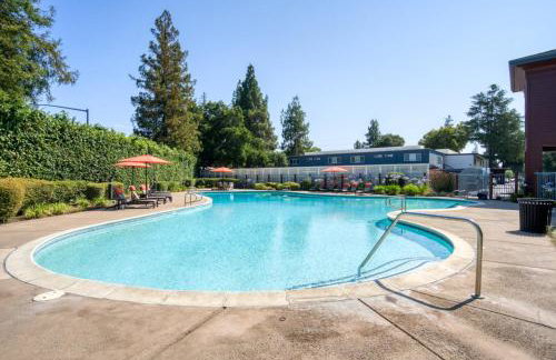 Campbell 1BR w WD Pool Gym nr WF TJ SFO-613 - Foto 14