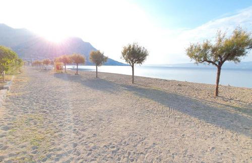 Apartments Sunshine Rays - Foto 24