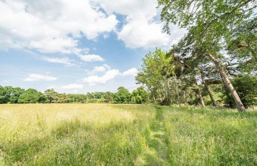 Amazing Arts & Crafts House - Foto 25