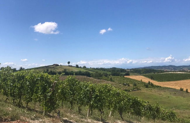 Cascina Liebe Whirlpool Sauna Monferrato CXL OCT 2023 - Foto 107