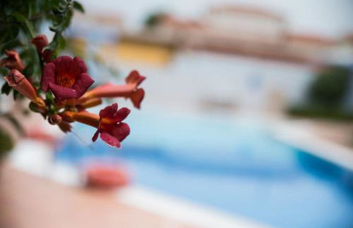 Νηρηίδες Apartments Studios - Photo 26